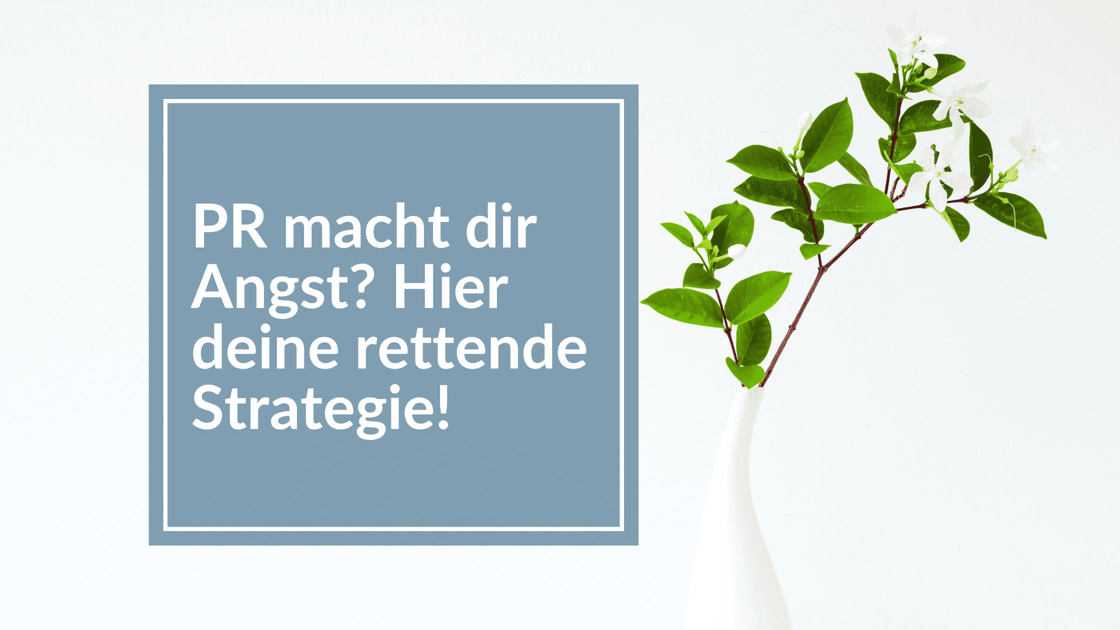 Du betrachtest gerade Angst vor PR? Hier deine rettende Strategie!